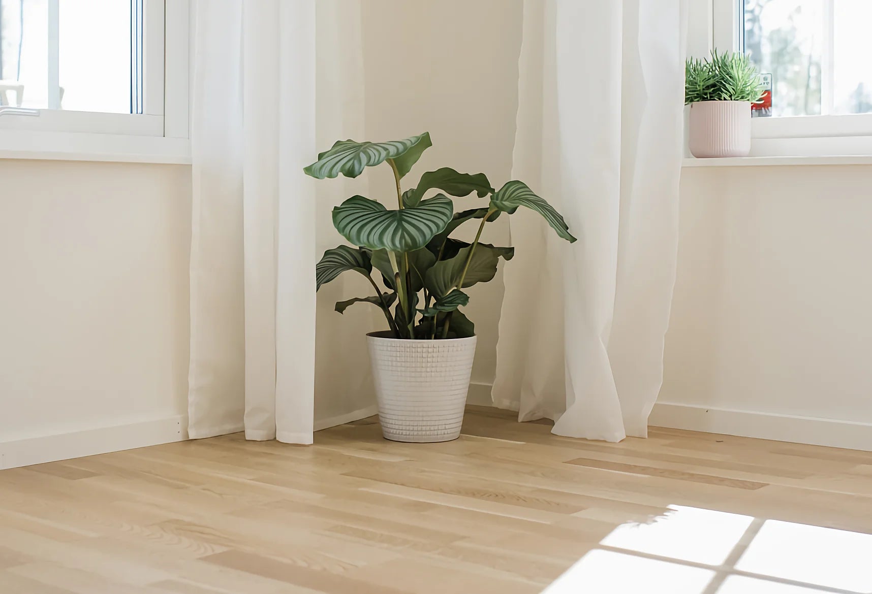 Unique Charisma: Leveraging Floor Planters for Personalized Home Decoration